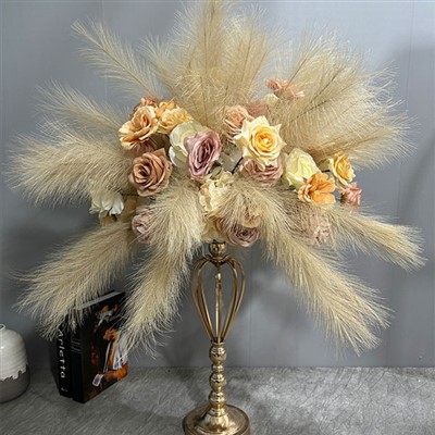 Stredobod Pampas Grass